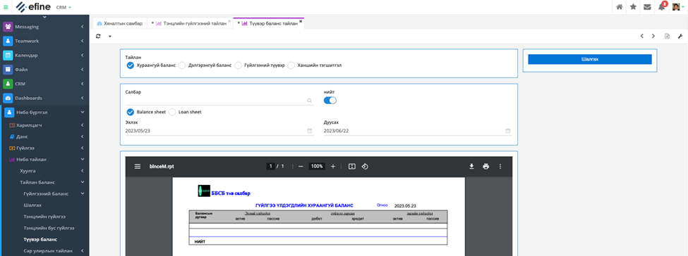 Fincore Web Module Түүвэр баланс | FINCORE Documentation
